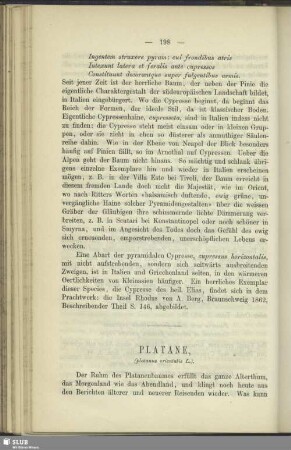 Platane