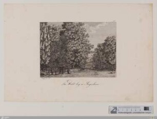 Im Wald bey'm Jaegerhaus