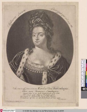 Sophia Carolina; March 6 Elect Brandenburgici