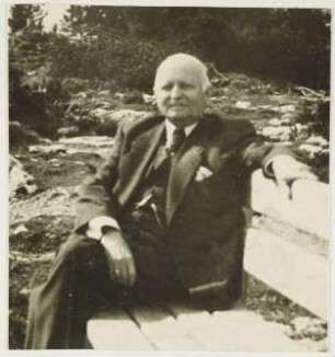 Wilhelm Wollenweber, Bergwerksdirektor