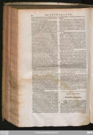 Cap. XVIII. Utrum Hoc nihil significet.