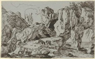 Felsküste mit abgestorbener Vegetation und weidenden Tieren