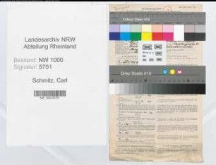 Entnazifizierung Carl Schmitz, geb. 29.01.1894 (Steuerberater)