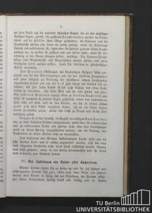 IV. Der Apfelbaum als Vasen- oder Becherform.