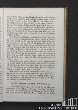 IV. Der Apfelbaum als Vasen- oder Becherform.