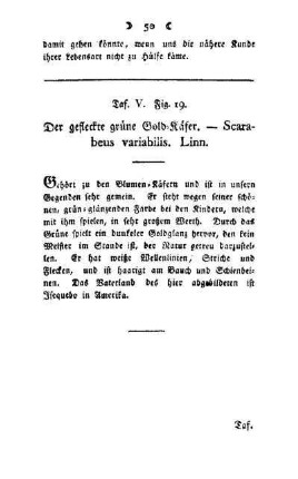 ¬Der¬ gefleckte grüne Gold-Käfer : Scarabeus variabilis, Linn ; Taf. V, Fig. 19