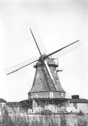 Dabel. Galerieholländer, Ansichtskarte