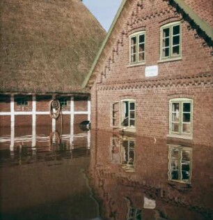 Sturmflut Hamburg 1962. Überflutetes Gehöft