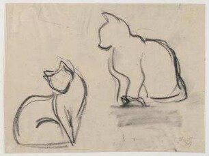 Katzen