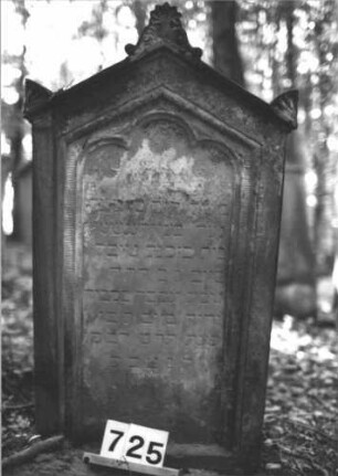 Grabstein 725 (Index: 99900444) Material: Sandstein Zustand: stark verwittert Maße HxBxT: 119x59x19 cm Beschreibung: Stele mit Dreiecksabschluss, Giebel- und Eckakroterien mit Palmetten und Voluten, Schriftfeld mit Dreipassbogenabschluss, gerahmt von Zahnfries, im Bogenfeld Rosette Symbolik: Palmette, Voluten, Zahnfries, Rosetten: Grabstein 725