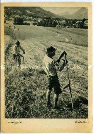 Bayrische Bauern bei der Getreideernte mit Sensen
