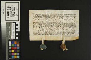 Kastel: Urkunde des Klosters Eberbach