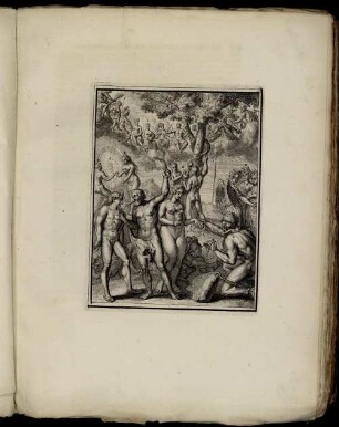 [Abbildung] No. 13