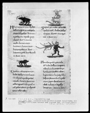 Komputistisch-Astronomisches Sammelwerk — Bildseite mit vier Miniaturen, Folio 115recto