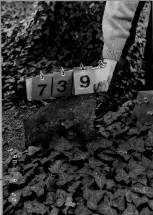 Grabstein 739