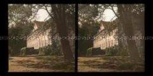 Parkseite des Schlosses Hohenzieritz