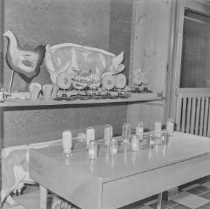 VEG - Pommritz : Volkeigenes Gut Pommritz
