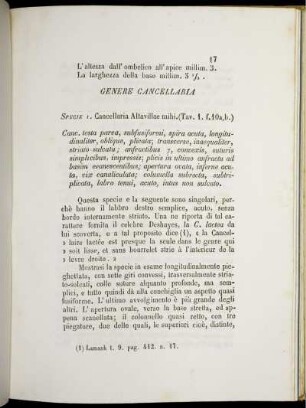 Genere Cancellaria