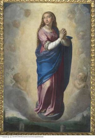 Immaculata