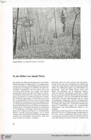 48: Zu den Bildern von Joseph Pilartz