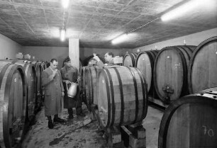 Oberrotweil: Winzergenossenschaft; Probierkeller