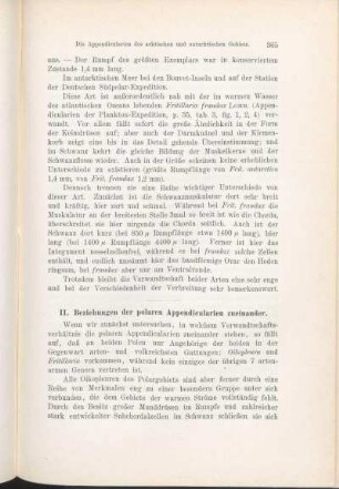 II. Beziehungen der polaren Appendicularien zueinander.