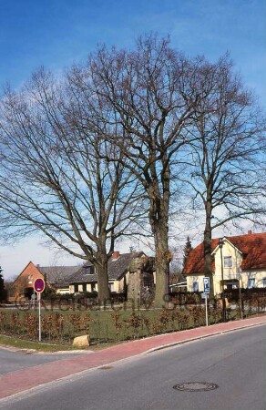 Ehrenmal und Friedenseiche