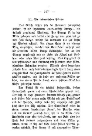 11. Die indianischen Pferde