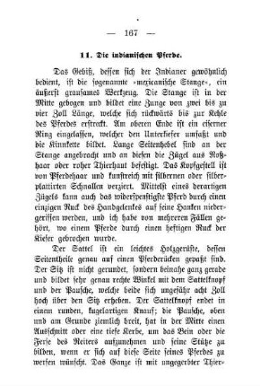11. Die indianischen Pferde