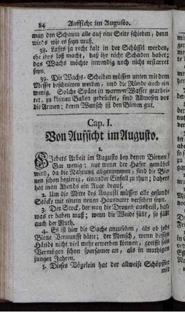 Von Aufsicht im Augusto.