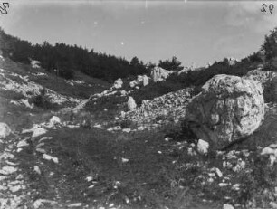 Felsen am Hang : Einzelne Felsen an einem Hang, links Bäume.