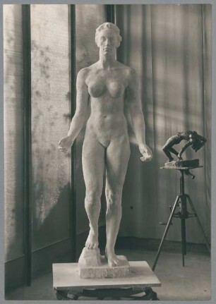 Flora, 1939/40, Gips