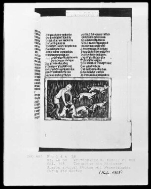 Rudolf von Ems, Weltchronik — Simson hetzt Füchse mit Feuerbränden durch die Felder, Folio 193recto