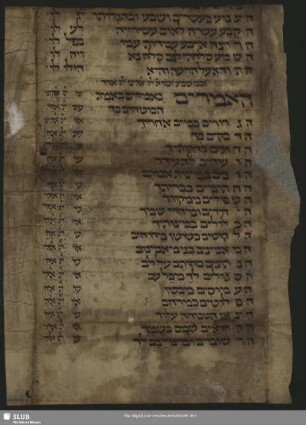 85: Aus einem Machsor - Mscr.Dresd.R.52.o,Nr.85 : [Fragment]