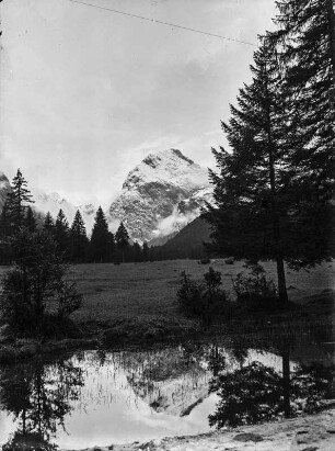 Das Sonnjoch : Blick über eine bewaldete Ebene zum Berg Sonnjoch