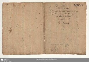 Justus florebit - Mus.1729-E-500 : V (4), vl (2), fag, bc