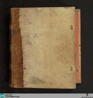 Rossarzt - Cod. Rastatt 154