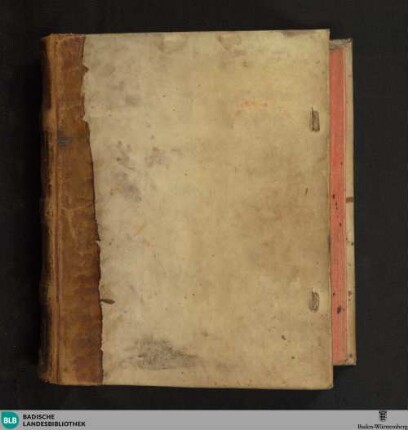 Rossarzt - Cod. Rastatt 154