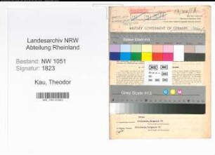 Entnazifizierung Theodor Kau , geb. 04.07.1899 (Metzger)