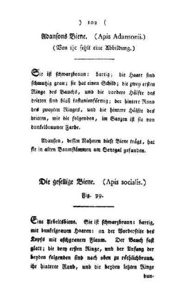 Adansons Biene : (Apis Adansonii) ; von Ihr fehlt eine Abbildung