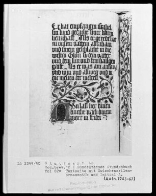 Deutsches Gebetbuch (Waldburg-Gebetbuch) — Initiale A und Zwischenzeilenornamentik, Folio 82verso