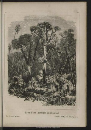 Rama-Rama, Landschaft auf Neuseeland