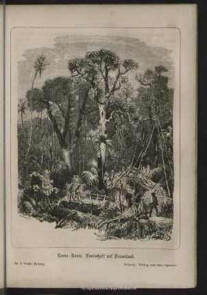 Rama-Rama, Landschaft auf Neuseeland