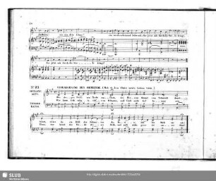 No.23 Choralgesang der Gemeinde: Der Augen Stern