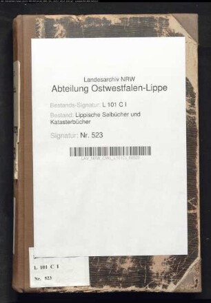Salbuch der Stadt Blomberg von 1863, Bd. 2 (Duplikat)