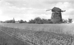 Klötze (Altmark). Turmholländer, 19. Jh., Ansichtskarte