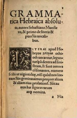 Opus grammaticum