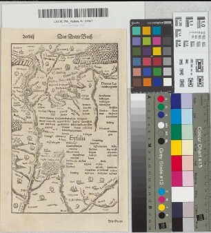 Eyfalia, [aus: Sebastian Münster, Cosmographia], Das Dritte Buch (deutsche Ausgabe), S. 707-708