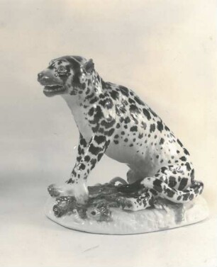 Sitzender Leopard