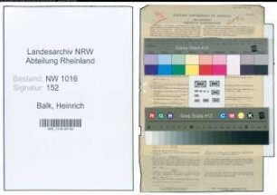 Entnazifizierung Heinrich Balk , geb. 08.03.1900 (Transportarbeiter)